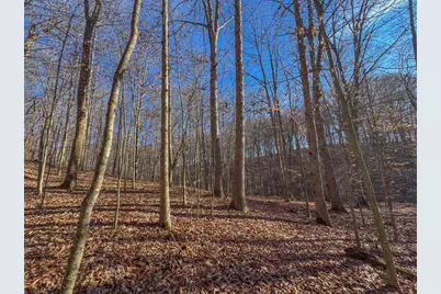 33056 Weaver Church Road, Albany, OH 45710 - Photo 23