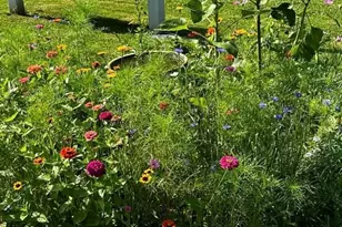 3924 Webb Ln, Stockport, OH 43787 - Photo 31