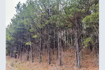 0 Oakland Church Road, Chandlersville, OH 43727 - Photo 33