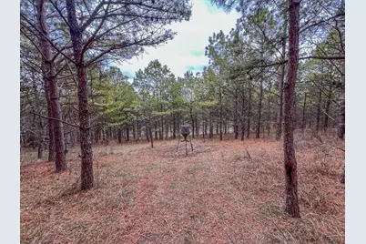 0 Oakland Church Road, Chandlersville, OH 43727 - Photo 3