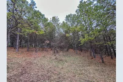 0 Oakland Church Road, Chandlersville, OH 43727 - Photo 5