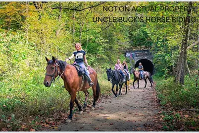 6321 Rk Miller Road, Logan, OH 43138 - Photo 89