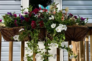 8565 Smith Calhoun Rd, Plain City, OH 43064 - Photo 3