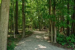 9029 Terrazza S Ct, Dublin, OH 43016 - Photo 49