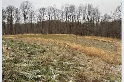 0 Sealover Hollow Road, Philo, OH 43771 - Photo 13