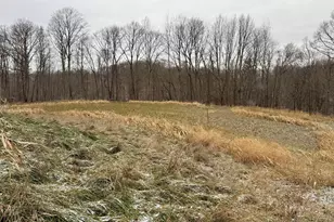 0 Sealover Hollow Rd, Philo, OH 43771 - Photo 13