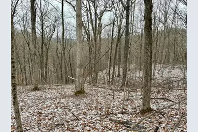 0 Sealover Hollow Road, Philo, OH 43771 - Photo 21