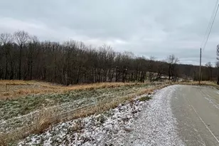 0 Sealover Hollow Rd, Philo, OH 43771 - Photo 7