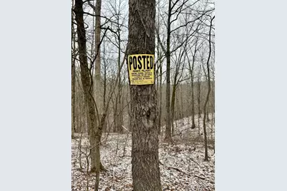 0 Sealover Hollow Road, Philo, OH 43771 - Photo 19