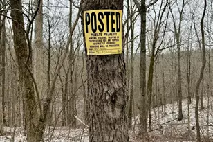 0 Sealover Hollow Rd, Philo, OH 43771 - Photo 19