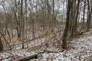 0 Sealover Hollow Rd, Philo, OH 43771 - Photo 25