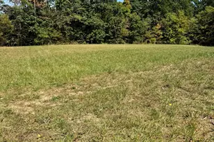 0 Sealover Hollow Rd, Philo, OH 43771 - Photo 5