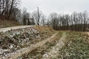 0 Sealover Hollow Rd, Philo, OH 43771 - Photo 11