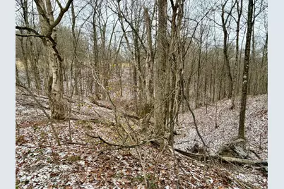 0 Sealover Hollow Road, Philo, OH 43771 - Photo 17