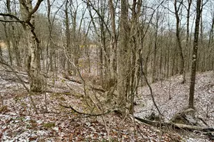 0 Sealover Hollow Rd, Philo, OH 43771 - Photo 17