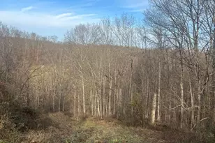 53720 State Route 681, Reedsville, OH 45772 - Photo 35