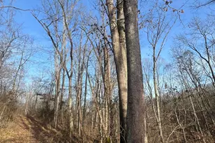 53720 State Route 681, Reedsville, OH 45772 - Photo 45