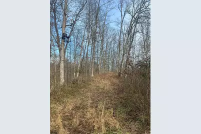 53720 State Route 681, Reedsville, OH 45772 - Photo 41