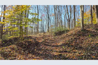 871 Poplar Ridge Road #(Ponds Poplar Ridge Tract 13), Gallipolis, OH 45631 - Photo 33