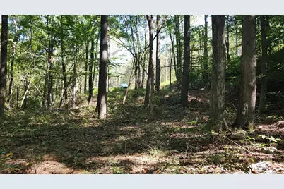 871 Poplar Ridge Road #(Ponds Poplar Ridge Tract 13), Gallipolis, OH 45631 - Photo 9