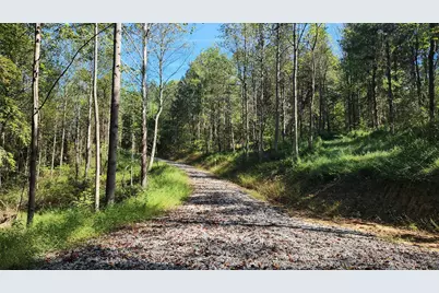 871 Poplar Ridge Road #(Ponds Poplar Ridge Tract 13), Gallipolis, OH 45631 - Photo 5