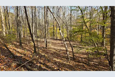 871 Poplar Ridge Road #(Ponds Poplar Ridge Tract 13), Gallipolis, OH 45631 - Photo 15