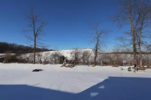 320 Cherry Hills Rd, Commercial Point, OH 43116 - Photo 17