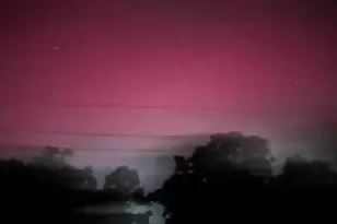 12899 Taylor Rd, Plain City, OH 43064 - Photo 121