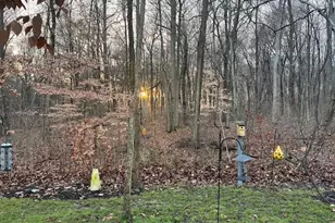 9496 Alnwick Loop, Plain City, OH 43064 - Photo 83