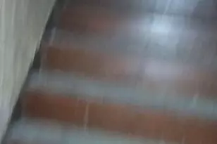 11705 Tunnel Hill Rd, Crooksville, OH 43731 - Photo 15