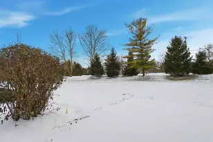 6938 Avery Rd, Dublin, OH 43017 - Photo 37