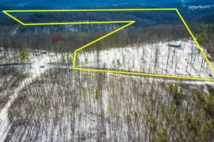 56953 Mills Rd, South Bloomingville, OH 43152 - Photo 13