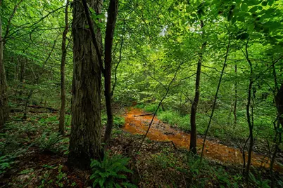 9758 Wesley Chapel Road, Mount Perry, OH 43760 - Photo 25