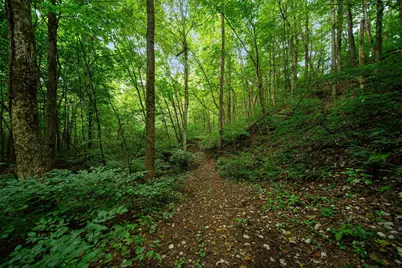 9758 Wesley Chapel Road, Mount Perry, OH 43760 - Photo 19