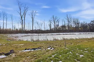 7051 Aster Wy, Plain City, OH 43064 - Photo 15