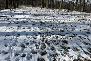 5198 McKinney Crossing NE, Newark, OH 43055 - Photo 33