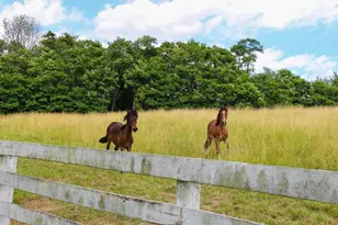 16187 Kreashbaum Rd, Rockbridge, OH 43149 - Photo 85