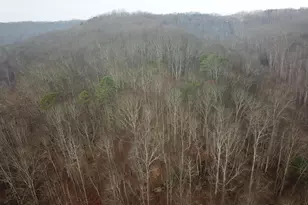 12001 W Buck Run, Rockbridge, OH 43149 - Photo 5