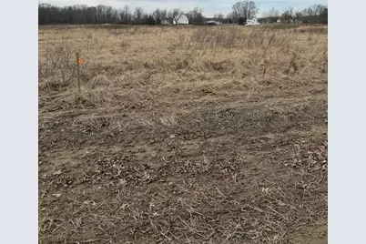 0 Twigg Hupp Road, Sunbury, OH 43074 - Photo 5