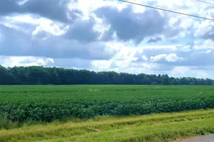 20478 Delaware County Line Rd, Marysville, OH 43040 - Photo 1