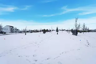 231 Leather Leaf Cir, Sunbury, OH 43074 - Photo 57