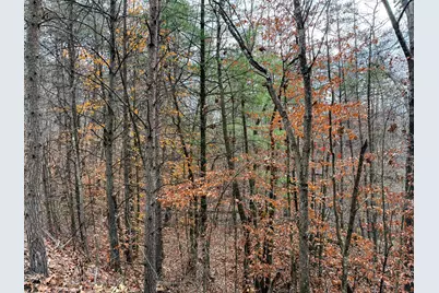 0 Dutch Ridge Road #(Woods Turkey Run Tract 3), New Lexington, OH 43764 - Photo 19