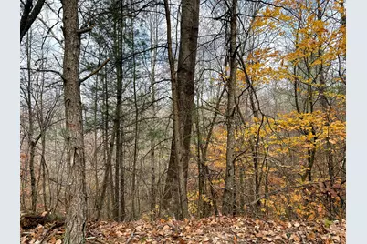 0 Dutch Ridge Road #(Woods Turkey Run Tract 3), New Lexington, OH 43764 - Photo 21