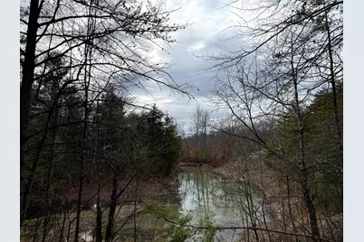 0 Dutch Ridge Road #(Woods Turkey Run Tract 3), New Lexington, OH 43764 - Photo 5