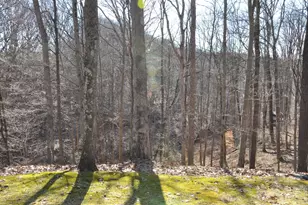 2620 Burnett Rd, Cutler, OH 45724 - Photo 43