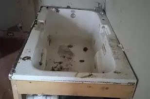 8695 Graham St, Lisbon, OH 44432 - Photo 3