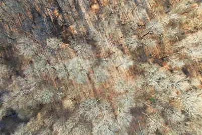 7035 Pleasant Chapel Road, Newark, OH 43056 - Photo 7