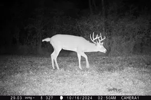 10019 Township Road 227, East Liberty, OH 43319 - Photo 57