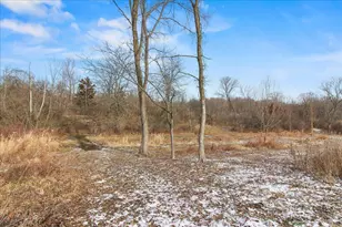 10019 Township Road 227, East Liberty, OH 43319 - Photo 51