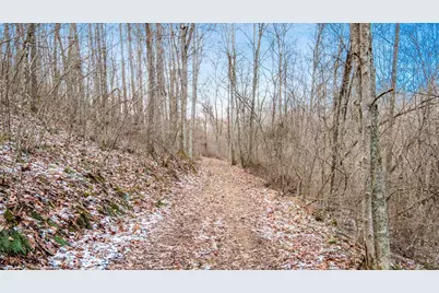 31201 Claypool Hollow Road, McArthur, OH 45651 - Photo 59